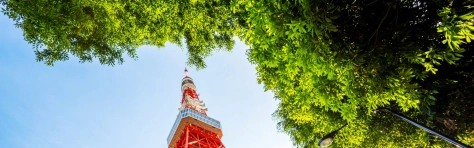 Tokyo tower in blue sky from low angle view - Tokyo Tower Architecture Asia Beauty Building Exterior Built Structure Business Finance and Industry City Close-Up Construction Frame Construction Industry Famous Place
