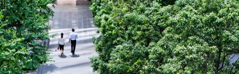 An image of colleagues walking on a path through trees