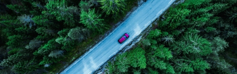 An image of a red car driving on a country road surrounded by a forest