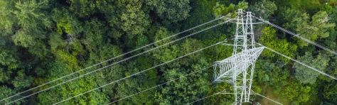 An image of an aerial view of a power line in a forest 