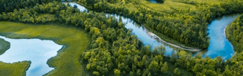 Beautiful nature landscape with multiple rivers flowing. Lush green forest environment with trees and grass fields.
