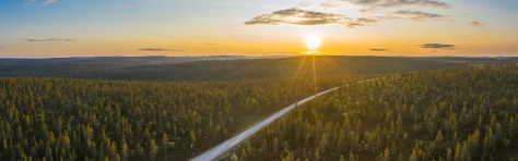 Elevated View, Road, Clear Sky, The Way Forward, Aerial View, Arctic, Beauty In Nature, Colour Image, Copy Space, Curve, Dramatic Sky, Drone Point of View, Dusk, Empty, Empty Road, Europe, Finland, Finnish Lapland, Forest, Freedom, High Up, Hill, Horizontal, Idyllic, Inari - Finland, Journey, Landscape - Scenery, Midnight Sun, Named Wilderness Area, Nature, No People, Non-Urban Scene, Outdoors, Photography, Remote Location, Rural Scene, Scenic - Nature, Sky, Summer, Sun, Sunbeam, Sunlight, Sunset, Travel Destinations, Wide Angle, Winding Road, Woodland,