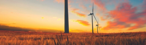 Wind turbines depicting decarbonisation