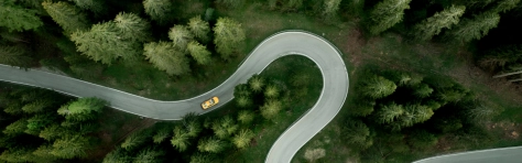 An image of a car driving on a road through a forest