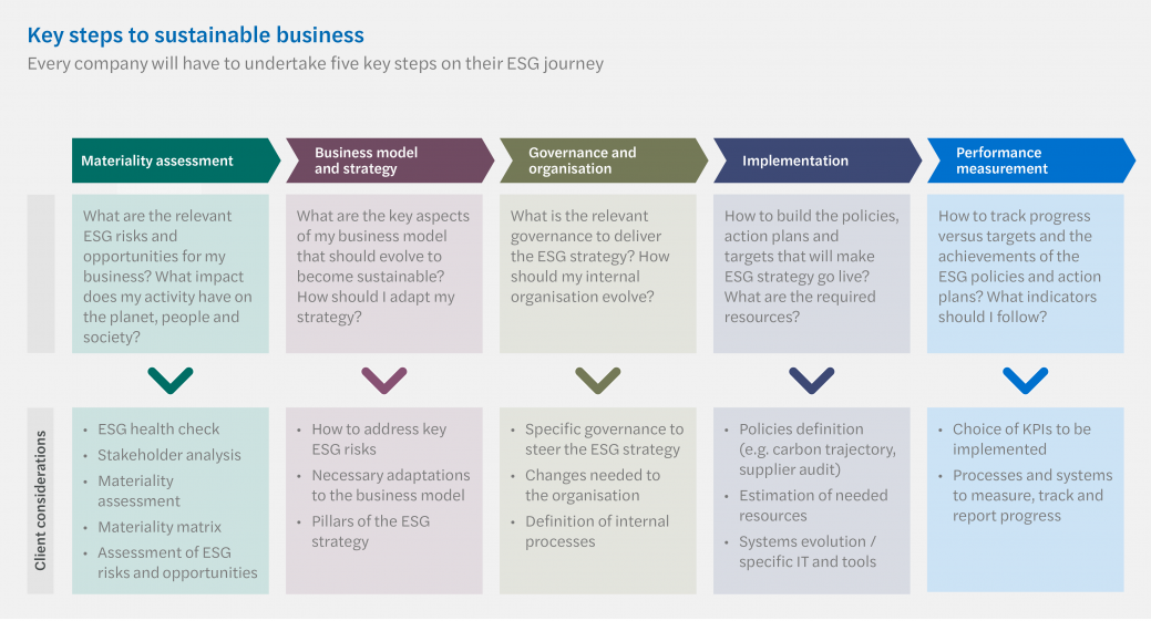 ESG - 5 step approach