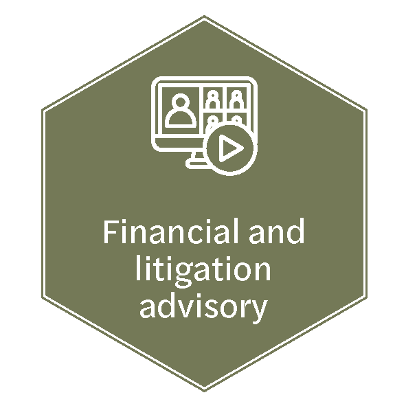 Financial-and-litigation