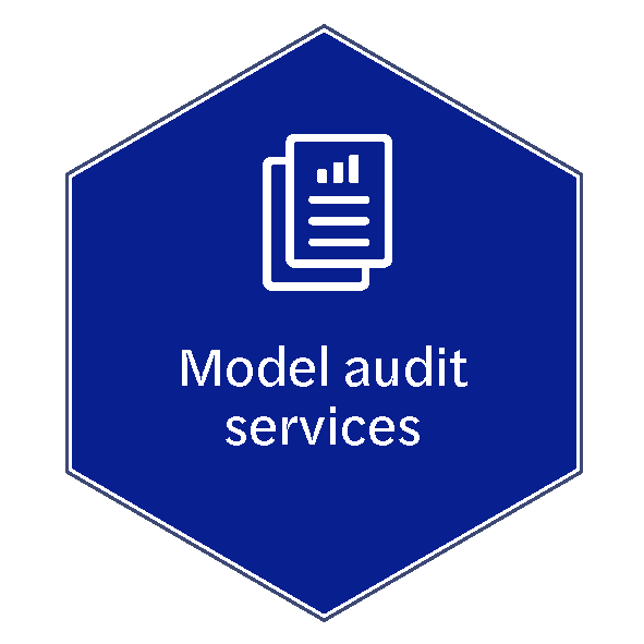 Model-audit-services