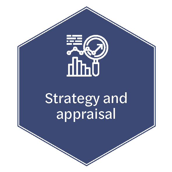 Strategy-and-appraisal