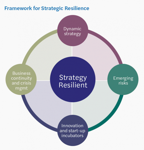 Framework for Strategic Resilience