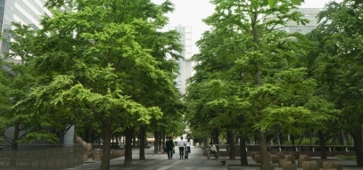 Business people walking in city landscape, modern financial district, offices, trees, greenery, nature, humans, colleagues, workers